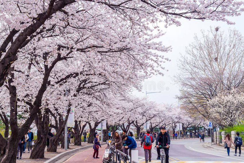 Tham quan Yeouido - thủ đô Seoul