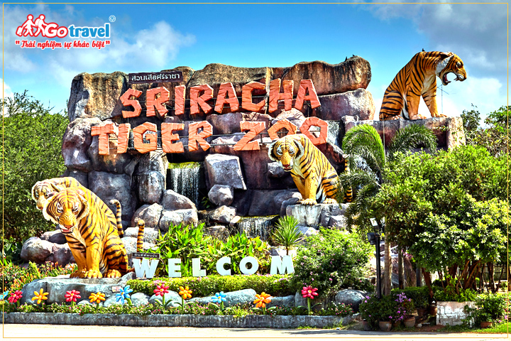 du lịch Thái Lan tham quan vườn thú Sriracha Tiger Zoo