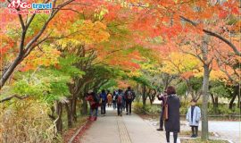 Du lịch Hàn Quốc tháng 10 cần chuẩn bị những gì?